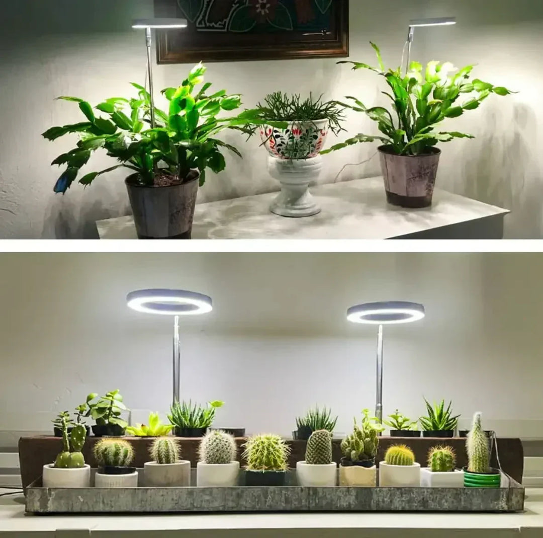 Lampa LED do roślin o pełnym spektrum z timerem i funkcją ściemniania